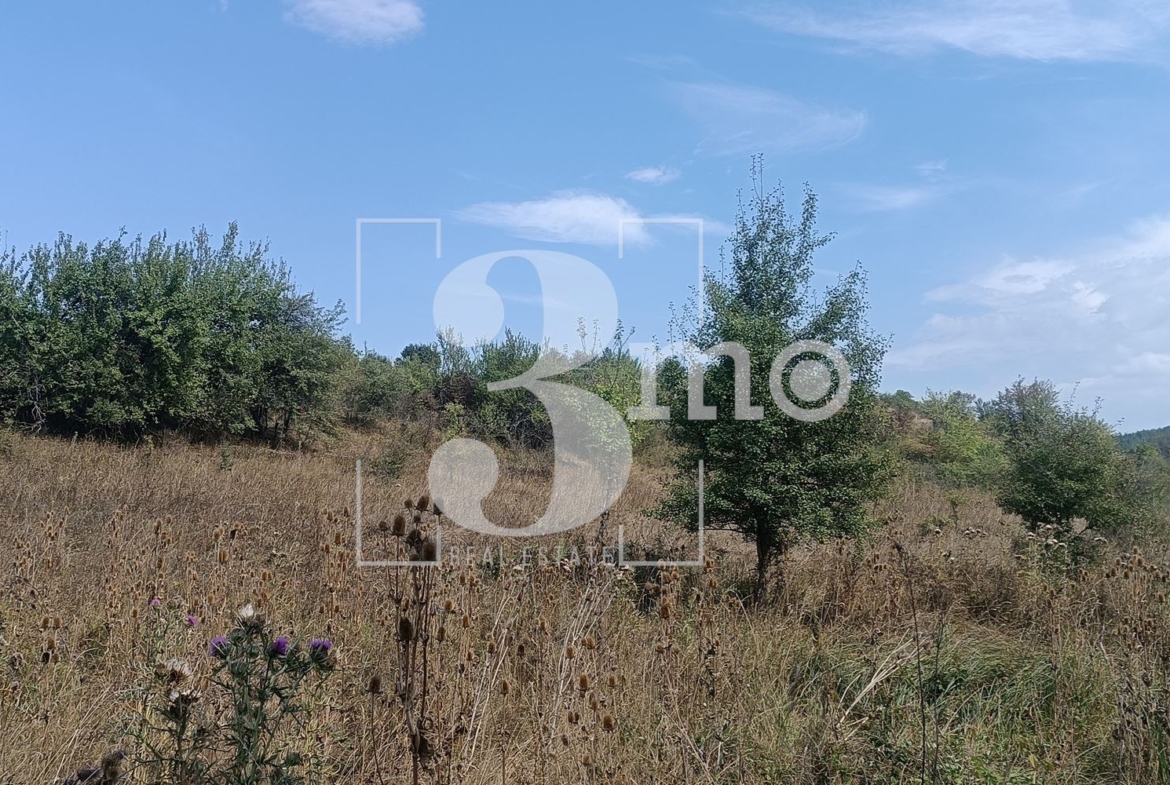 3mo Амалтея предлага за продажба поземлен имот в района на с. Бистрица