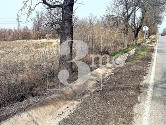 ИНВЕСТИЦИОНЕН ПАРЦЕЛ С ЛИЦЕ НА ГЛАВЕН ПЪТ – с. Иваняне - 0